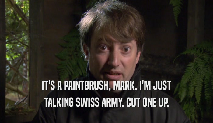 IT'S A PAINTBRUSH, MARK. I'M JUST TALKING SWISS ARMY. CUT ONE UP. 