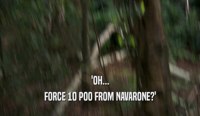'OH... FORCE 10 POO FROM NAVARONE?' 