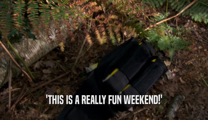 'THIS IS A REALLY FUN WEEKEND!'  