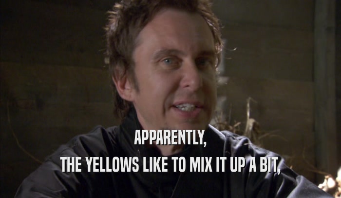 APPARENTLY, THE YELLOWS LIKE TO MIX IT UP A BIT, 