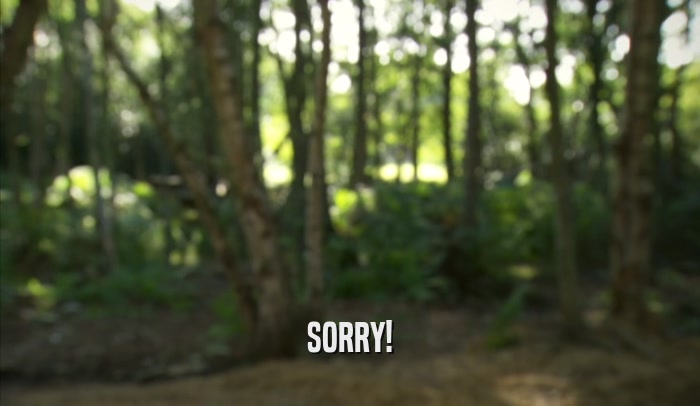 SORRY!  