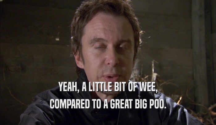 YEAH, A LITTLE BIT OF WEE, COMPARED TO A GREAT BIG POO. 