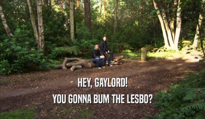 HEY, GAYLORD! YOU GONNA BUM THE LESBO? 