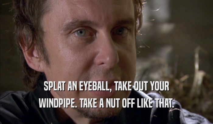 SPLAT AN EYEBALL, TAKE OUT YOUR WINDPIPE. TAKE A NUT OFF LIKE THAT. 