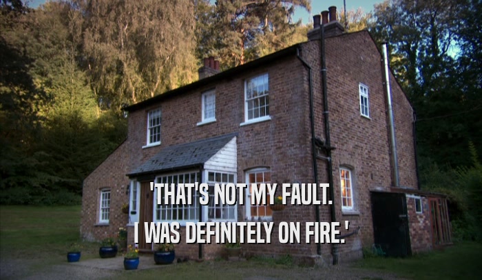 'THAT'S NOT MY FAULT. I WAS DEFINITELY ON FIRE.' 