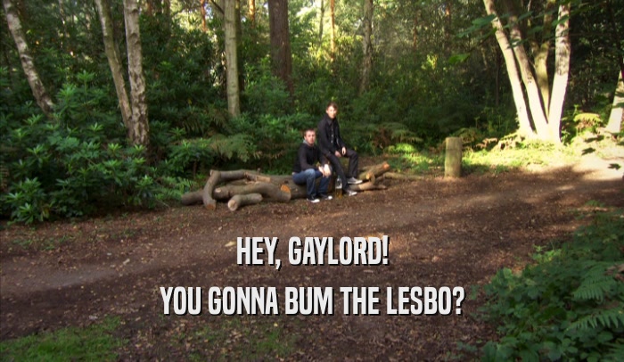 HEY, GAYLORD! YOU GONNA BUM THE LESBO? 