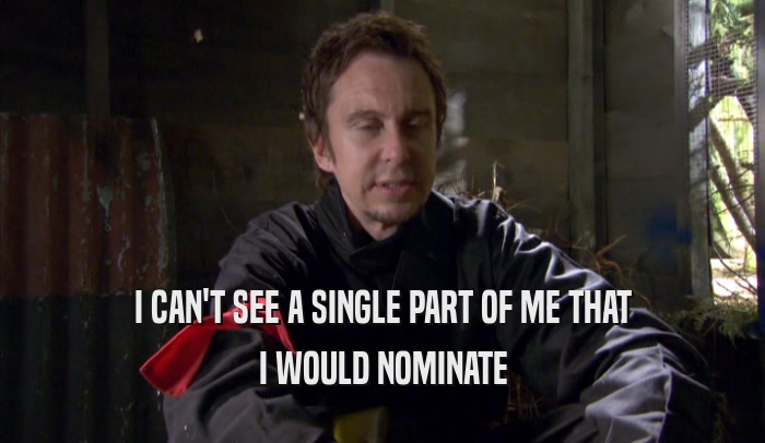 I CAN'T SEE A SINGLE PART OF ME THAT I WOULD NOMINATE 