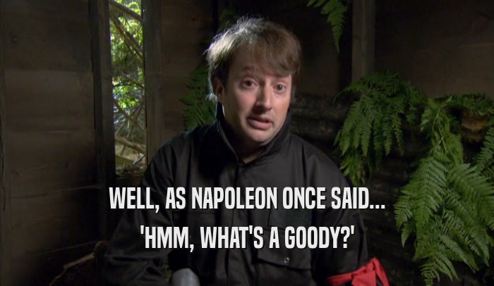 WELL, AS NAPOLEON ONCE SAID... 'HMM, WHAT'S A GOODY?' 