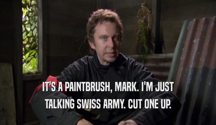 IT'S A PAINTBRUSH, MARK. I'M JUST TALKING SWISS ARMY. CUT ONE UP. 