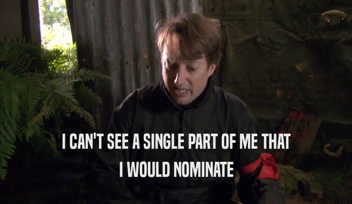 I CAN'T SEE A SINGLE PART OF ME THAT I WOULD NOMINATE 