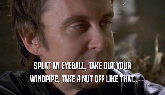 SPLAT AN EYEBALL, TAKE OUT YOUR WINDPIPE. TAKE A NUT OFF LIKE THAT. 