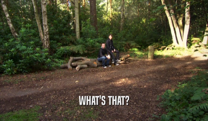 WHAT'S THAT?  