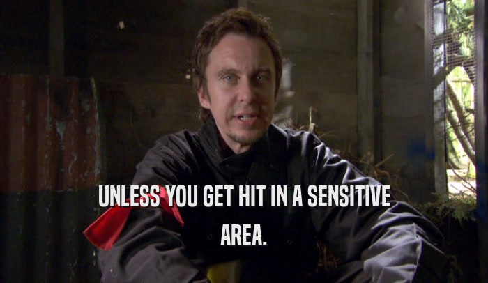 UNLESS YOU GET HIT IN A SENSITIVE AREA. 