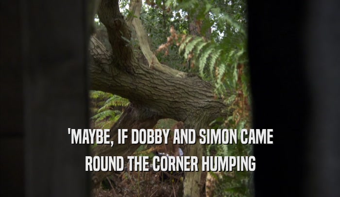 'MAYBE, IF DOBBY AND SIMON CAME ROUND THE CORNER HUMPING 