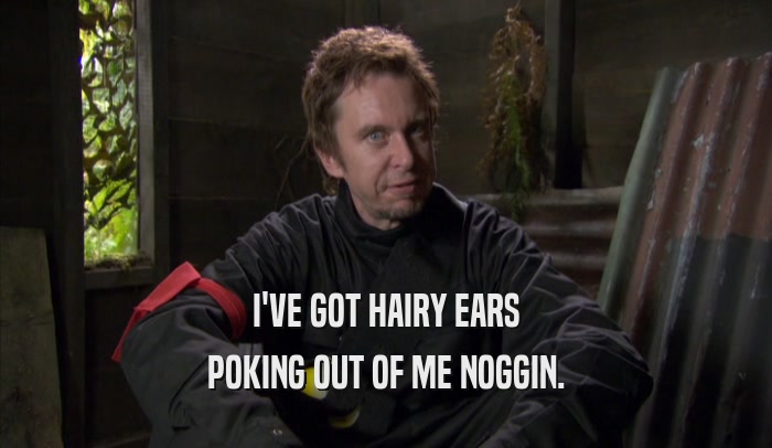 I'VE GOT HAIRY EARS POKING OUT OF ME NOGGIN. 