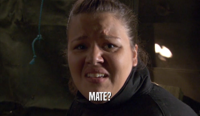 MATE?  