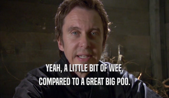 YEAH, A LITTLE BIT OF WEE, COMPARED TO A GREAT BIG POO. 