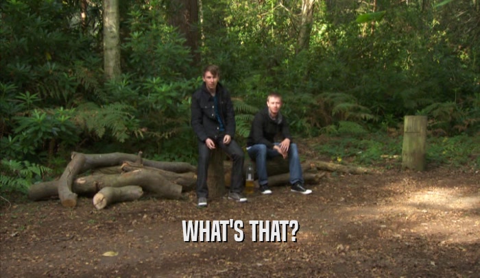 WHAT'S THAT?  