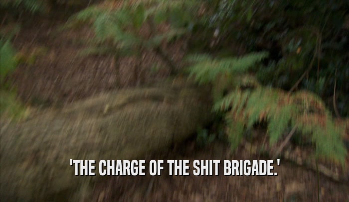 'THE CHARGE OF THE SHIT BRIGADE.'  