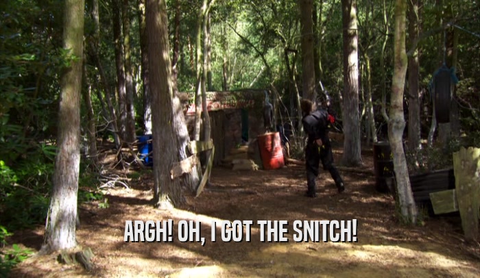 ARGH! OH, I GOT THE SNITCH!  