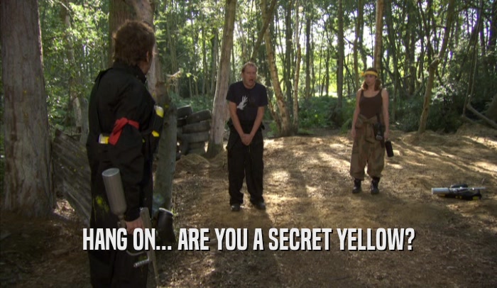 HANG ON... ARE YOU A SECRET YELLOW?  