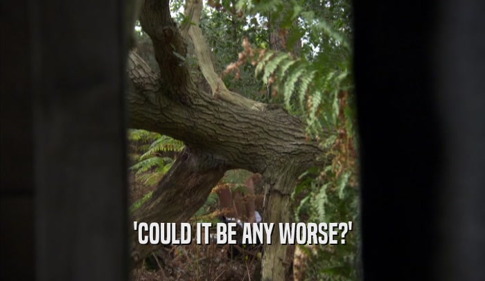 'COULD IT BE ANY WORSE?'  