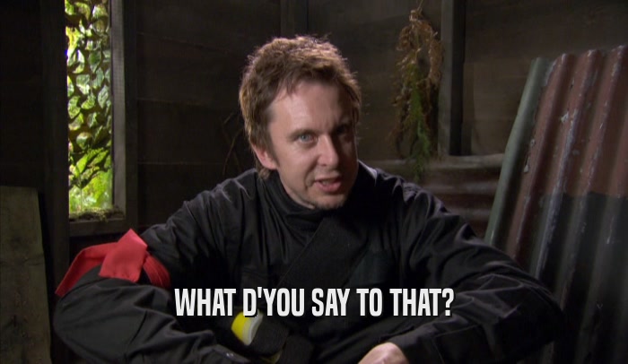 WHAT D'YOU SAY TO THAT?  