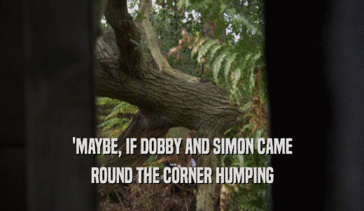 'MAYBE, IF DOBBY AND SIMON CAME ROUND THE CORNER HUMPING 