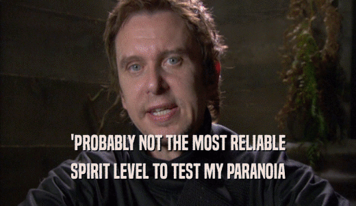 'PROBABLY NOT THE MOST RELIABLE SPIRIT LEVEL TO TEST MY PARANOIA SPIRIT LEVEL TO TEST MY PARANOIA