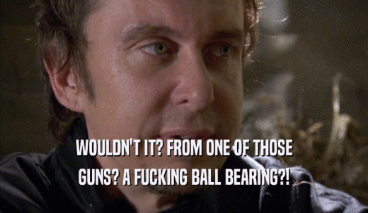 WOULDN'T IT? FROM ONE OF THOSE GUNS? A FUCKING BALL BEARING?! 