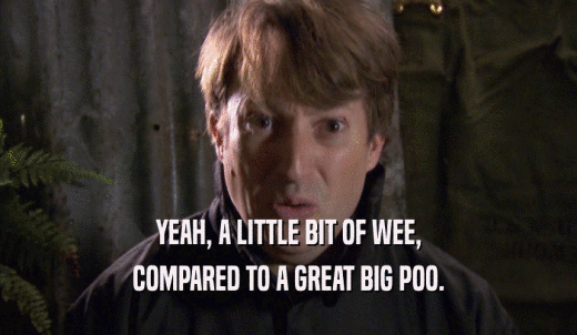 YEAH, A LITTLE BIT OF WEE, COMPARED TO A GREAT BIG POO. 