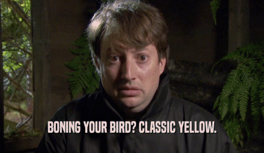 BONING YOUR BIRD? CLASSIC YELLOW.  