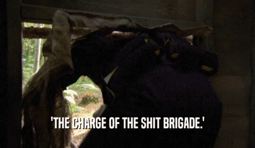 'THE CHARGE OF THE SHIT BRIGADE.'  