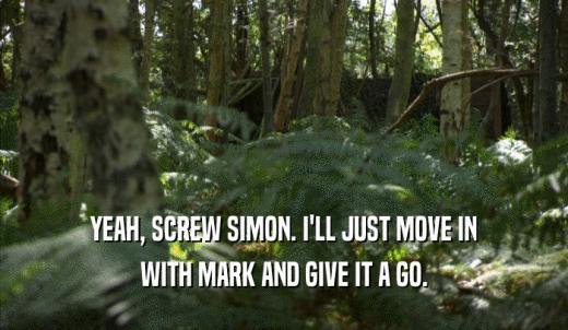 YEAH, SCREW SIMON. I'LL JUST MOVE IN WITH MARK AND GIVE IT A GO. 