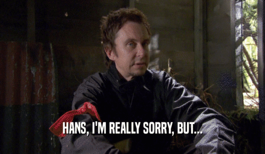 HANS, I'M REALLY SORRY, BUT...  
