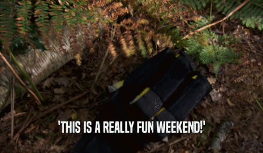'THIS IS A REALLY FUN WEEKEND!'  