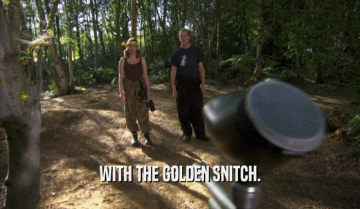 WITH THE GOLDEN SNITCH.  