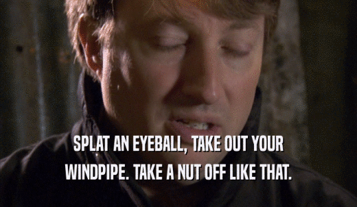 SPLAT AN EYEBALL, TAKE OUT YOUR WINDPIPE. TAKE A NUT OFF LIKE THAT. 