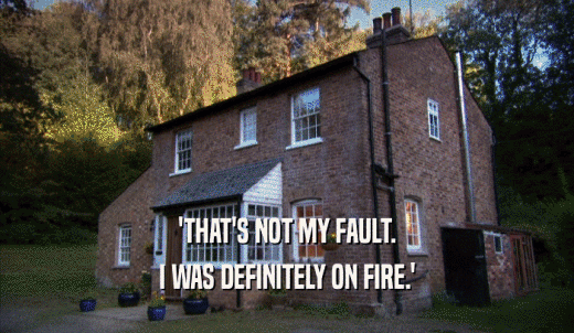 'THAT'S NOT MY FAULT. I WAS DEFINITELY ON FIRE.' 