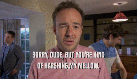 SORRY, DUDE, BUT YOU'RE KIND OF HARSHING MY MELLOW. 