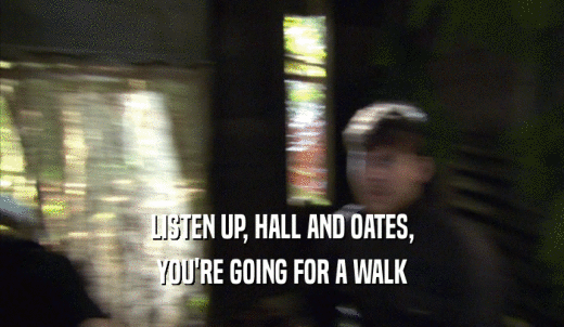LISTEN UP, HALL AND OATES, YOU'RE GOING FOR A WALK 