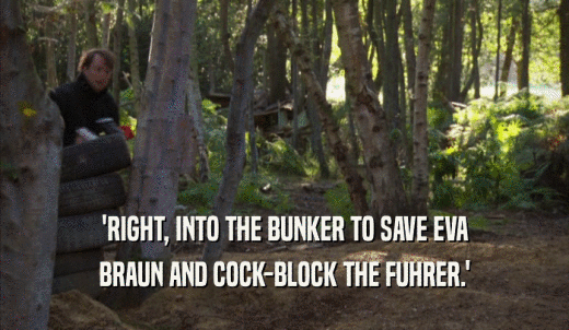 'RIGHT, INTO THE BUNKER TO SAVE EVA BRAUN AND COCK-BLOCK THE FUHRER.' 