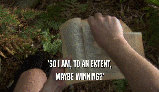 'SO I AM, TO AN EXTENT, MAYBE WINNING?' 