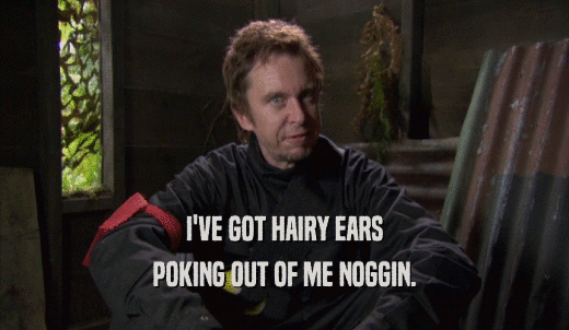 I'VE GOT HAIRY EARS POKING OUT OF ME NOGGIN. 