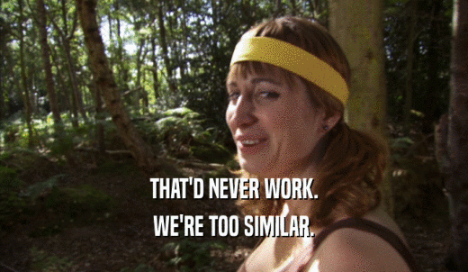 THAT'D NEVER WORK. WE'RE TOO SIMILAR. 