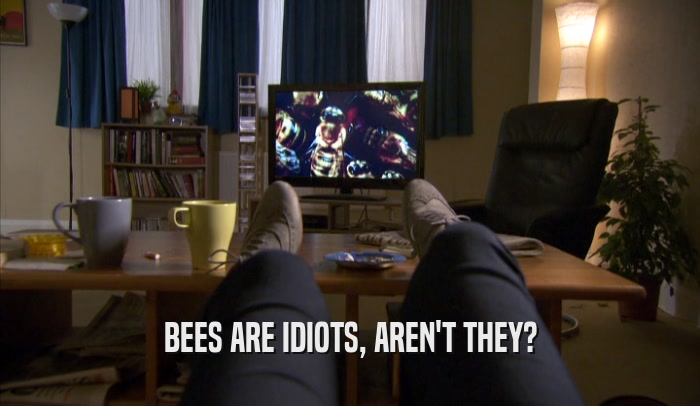 BEES ARE IDIOTS, AREN'T THEY?  