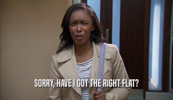 SORRY, HAVE I GOT THE RIGHT FLAT?  
