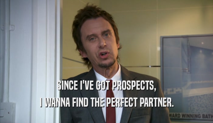 SINCE I'VE GOT PROSPECTS, I WANNA FIND THE PERFECT PARTNER. 