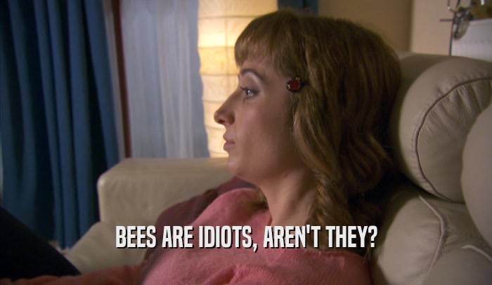 BEES ARE IDIOTS, AREN'T THEY?  
