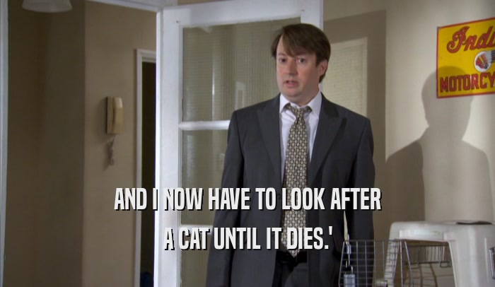 AND I NOW HAVE TO LOOK AFTER A CAT UNTIL IT DIES.' 